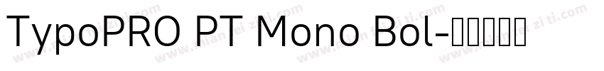 TypoPRO PT Mono Bol字体转换